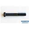 Vite Lama Ute Unf3/8"" X23 12,9 - Originale Ibea - P1010159
