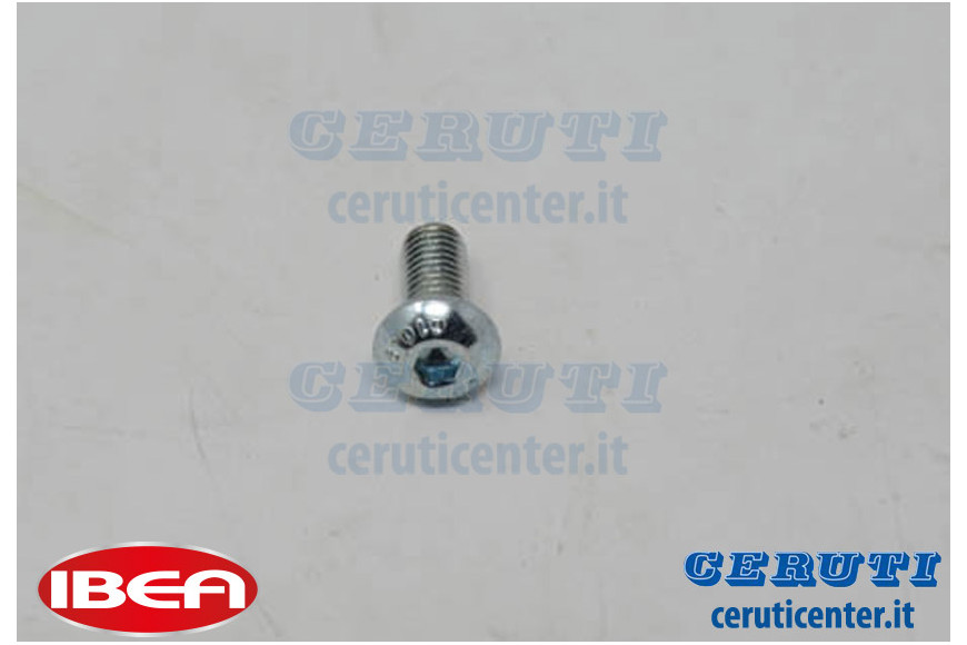 Screw M5X12 Uni 7380 10.9 Zinc Plating - Genuine Ibea - P1010224