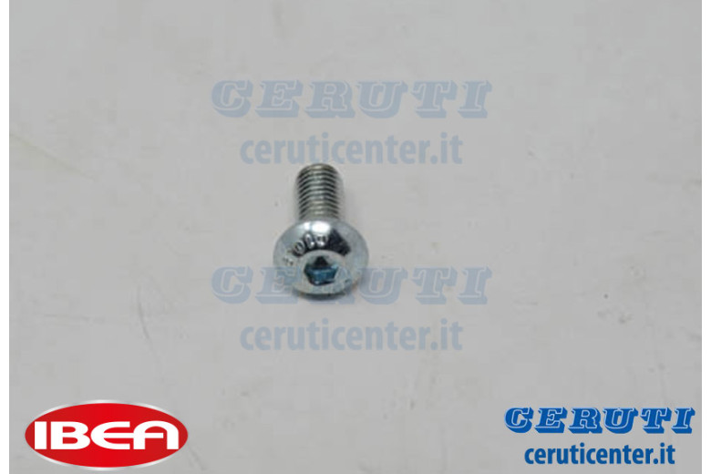 Tornillo M5X12 Uni 7380 Chapado De Zinc 10,9 - Original Ibea - P1010224