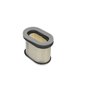 Element-Filter, Air - Originale Toro - 98-9212