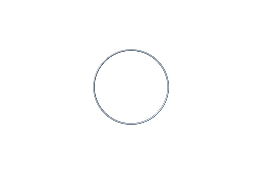O-Ring - Originale Toro - 100-9135