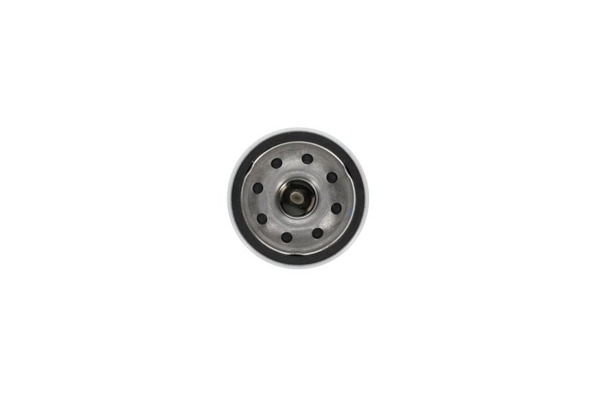 Filter-Oil - Originale Toro - 108-3842