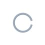 Snap Ring - Originale Toro - 119-8532 - sostituisce - 114-8161