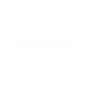 Decal - Panel Front - Originale Toro - 100-3337