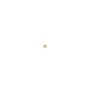 Nut-Hex - Originale Toro - 3217-16