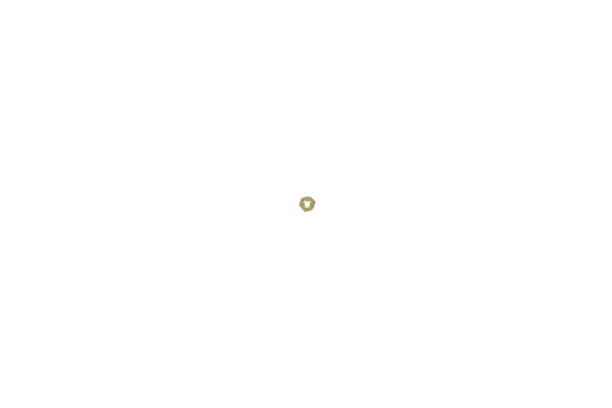 Nut-Hex - Originale Toro - 3217-16