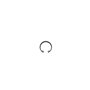 Ring-Retaining - Originale Toro - 32120-37