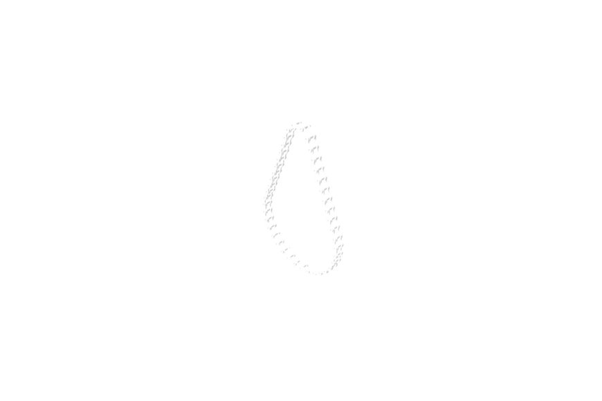 Chain-Roller - Originale Toro - 108-0016