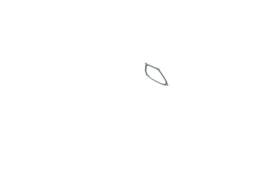 Gasket-Cover, Valve - Originale Toro - 121-0234