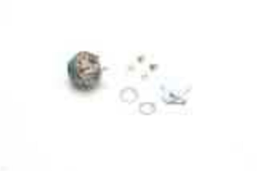 Switch - Originale Toro - 8362
