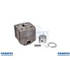 Cilindro Completo - Original Emak - 301000365B