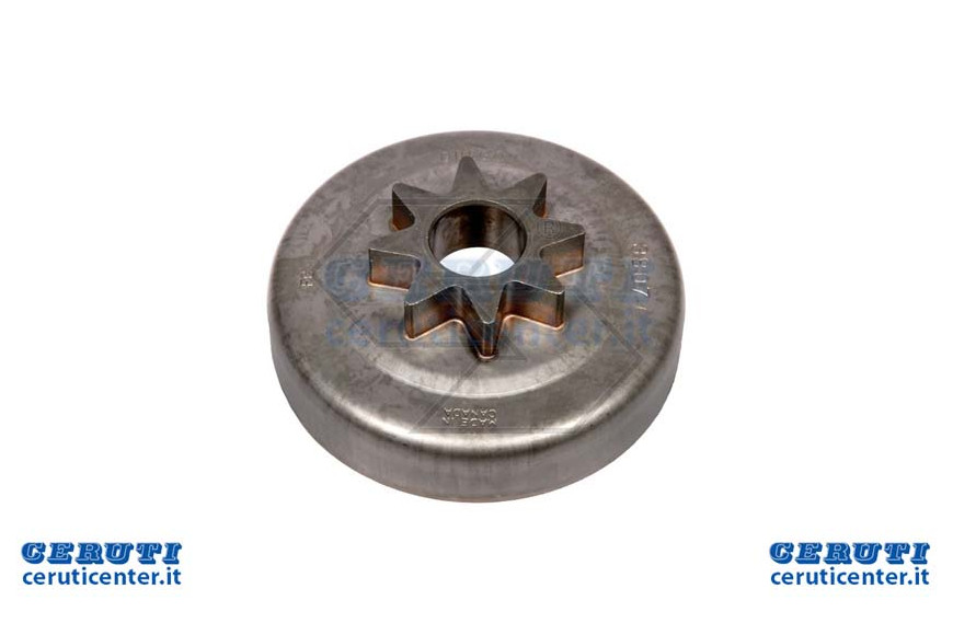 Pignone Dentato 325'' 8 D. 1