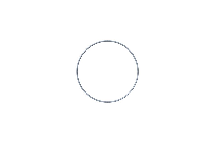 O-Ring, Cover - Originale Toro - 100-9113