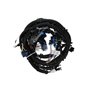 Harness-Wire, Main - Originale Toro - 114-3319