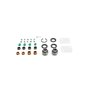 Overhaul Kit-450D C/U - Originale Toro - 13-3679