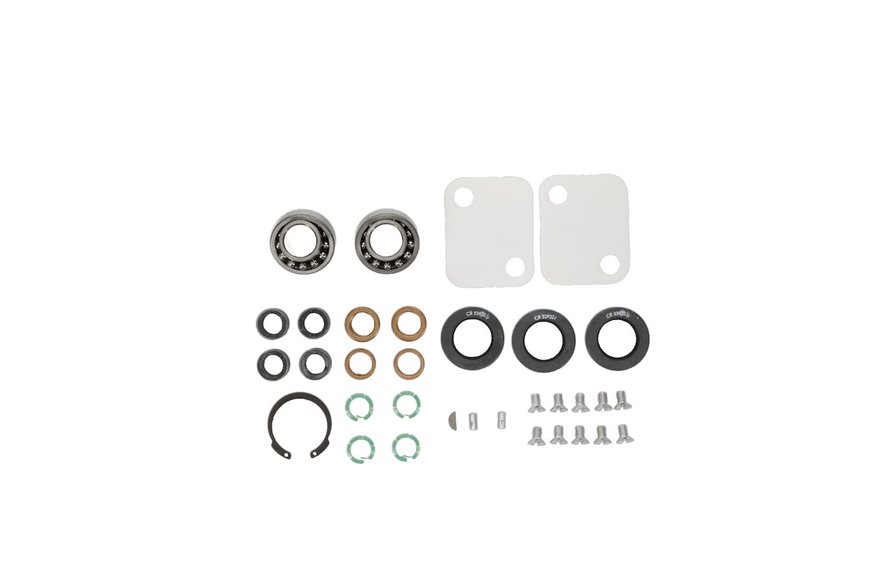 Overhaul Kit-450D C/U - Originale Toro - 13-3679