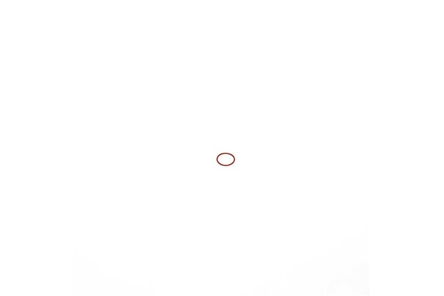 O-Ring - Originale Toro - 120-3237