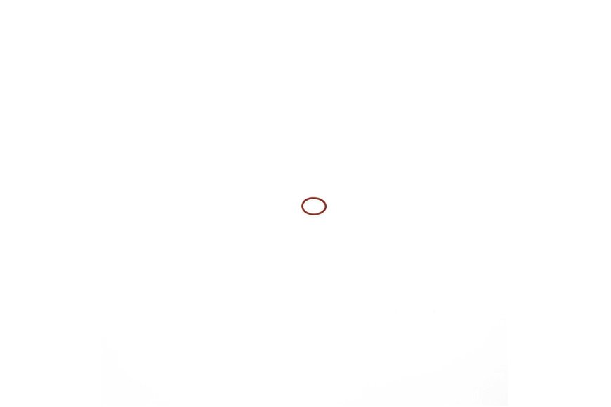 O-Ring - Originale Toro - 120-3237