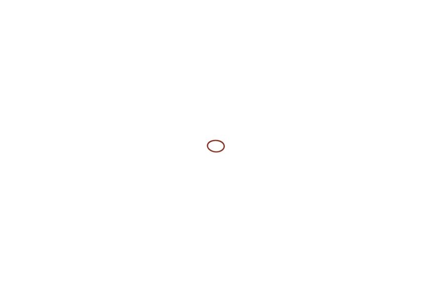 O-Ring - Originale Toro - 120-3237