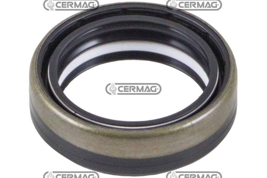 Anello Tenuta 45x60x17