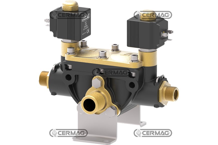 Gruppo 481 Sezioni 2 Tipo Valvole Solenoide
