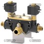 Gruppo 481 Sezioni 2 Tipo Valvole Solenoide