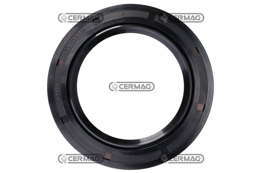 Anello Tenuta 70x100x12mm