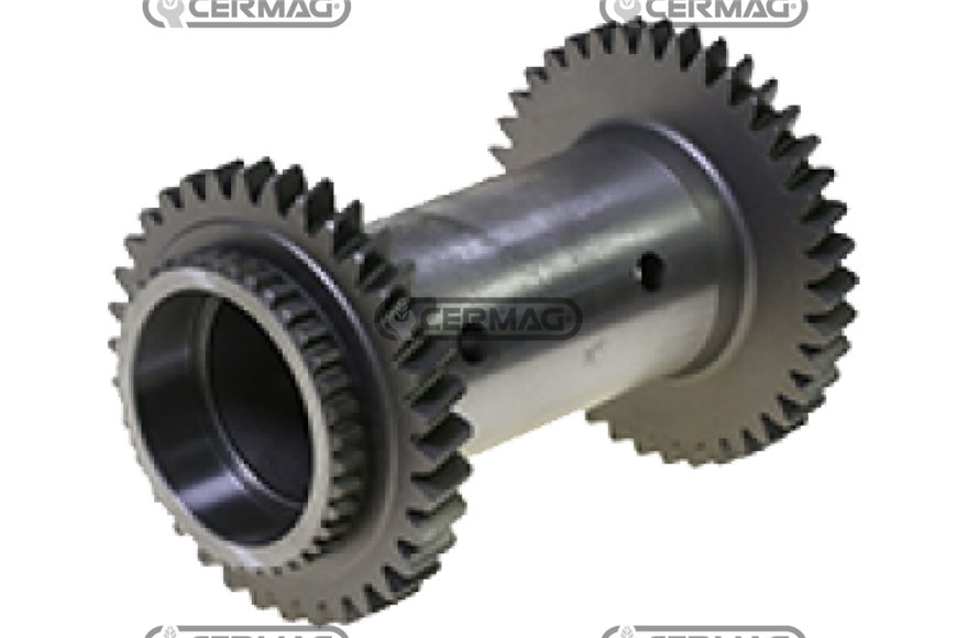 Ingranaggio Doppio