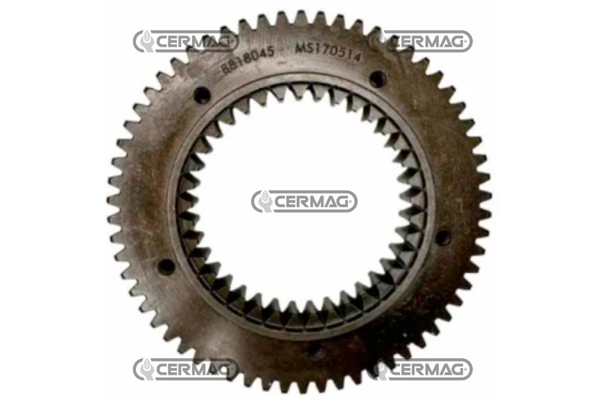 Corona Dentata Z62-37