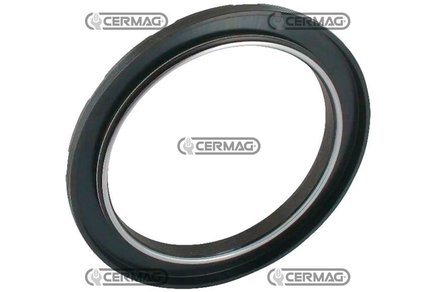 Paraolio