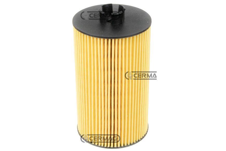 Filtro Olio Motore