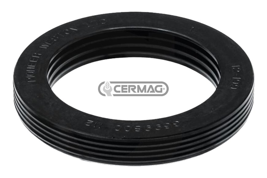 Paraolio 101,66x73,4x14,14mm