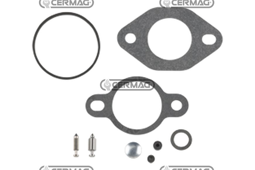 Kit Repair Carb (Pump Feed)(Walbro)
