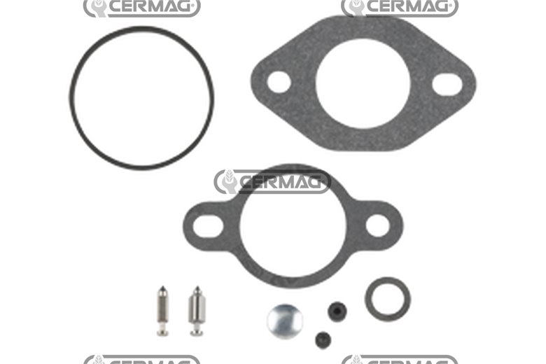Kit Repair Carb (Pump Feed)(Walbro)