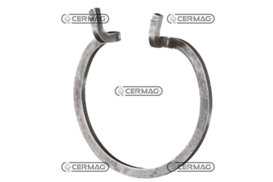 Anello Elastico