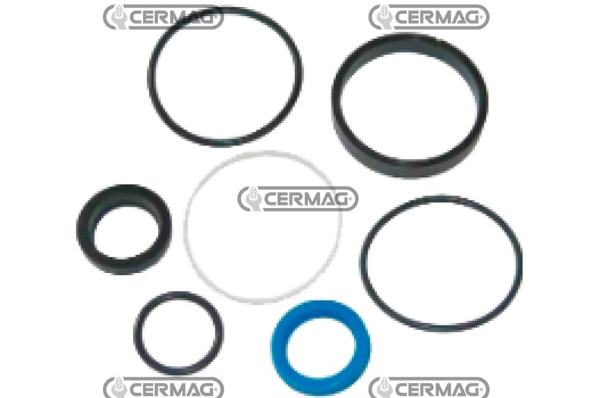 Kit Guarnizioni Cilindro Sterzo