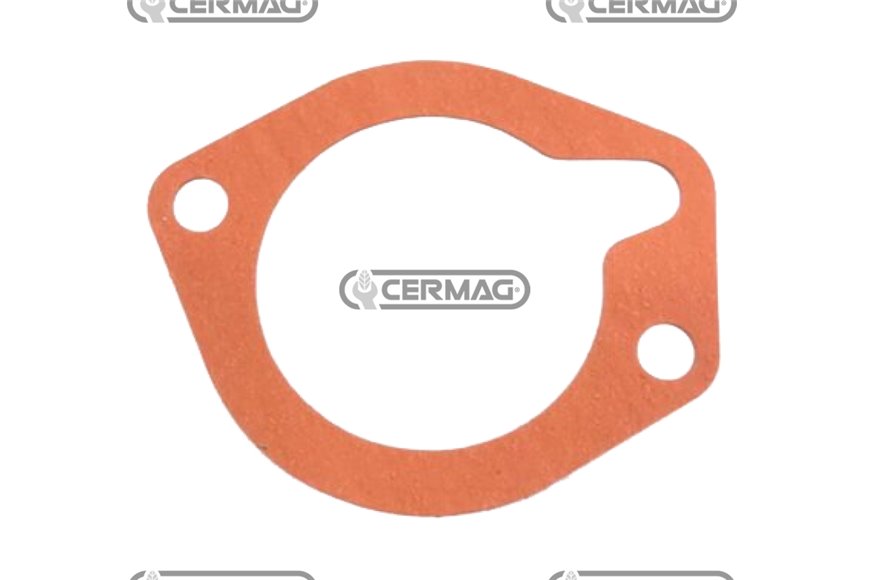 Guarnizione Valvola Termostatica