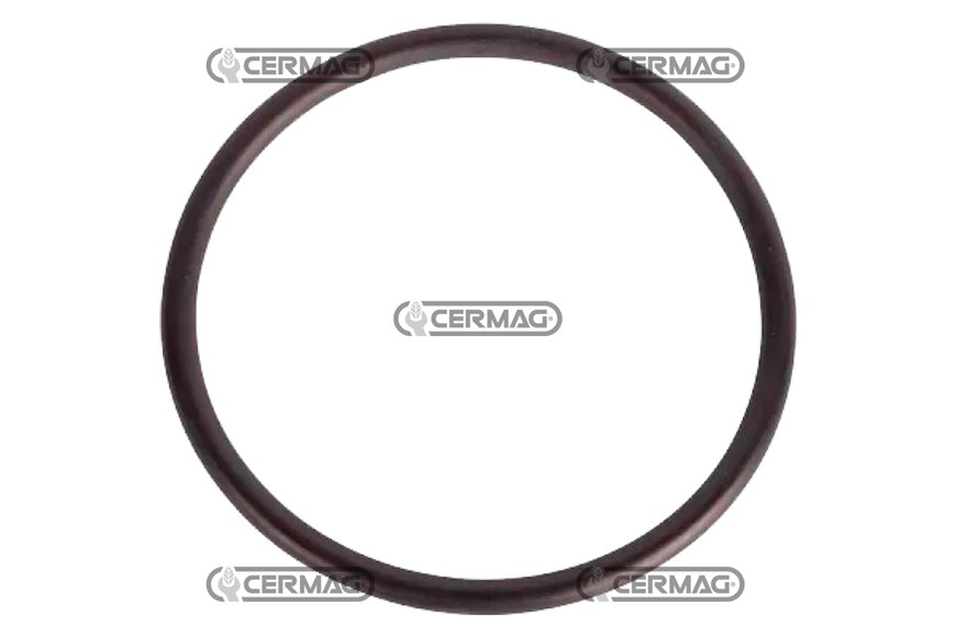 O-ring
