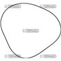 Or Tenuta Freno 325 X 3.85mm