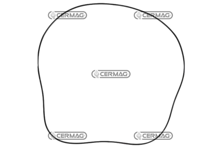 Or Tenuta Freno 360 X 3.55mm