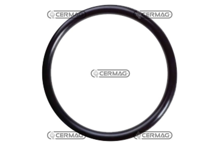 Guarnizione O-ring