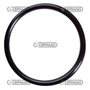 Guarnizione O-ring