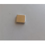 Magnete - Originale Worx - XR50022499