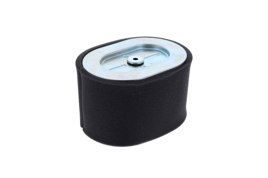 Filtro Aria - 799818 - Originale Briggs & Stratton