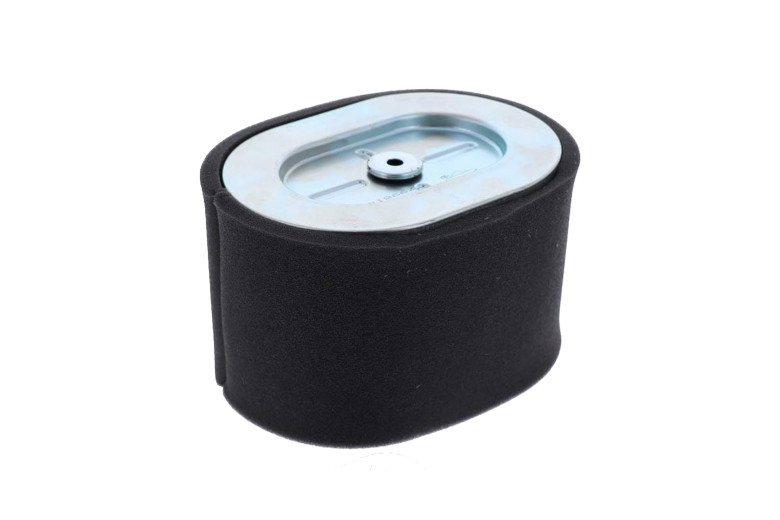 Filter-Air Cleaner Ca - 799818 -  Briggs & Stratton - Genuine Spare Parts