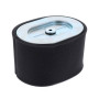 Filtro Aria - 799818 - Originale Briggs & Stratton