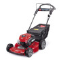 Tondeuse à gazon Toro Recycler® S55A 55 cm - 21771