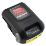 Battery - 597189 - Original Briggs & Stratton - Replaces - 84003015