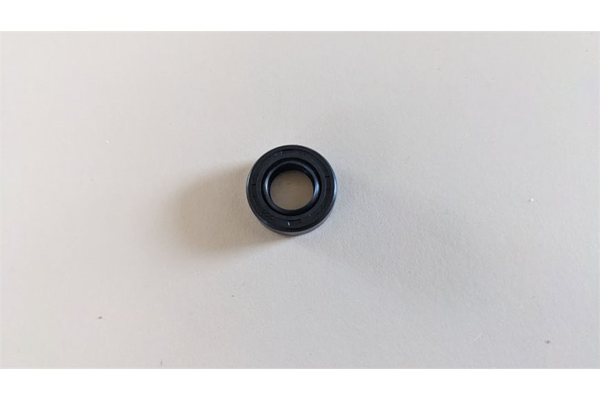 Anello Di Tenuta - Originale Stiga - 119035159/0