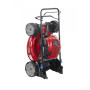 Tosaerba Recycler® S53VST da 53 cm con SmartStow® - 21753